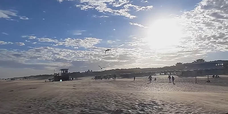 El paraíso de Las Gaviotas en Argentina